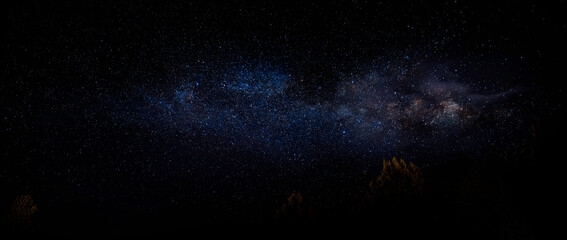 Black Hills National Forest Night Skyline in South Dakota, United States