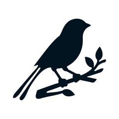 Border Canary bird silhouette vector logo icon 