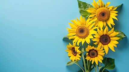 Obraz premium Sunflowers bouquet top down view with blue backdrop and empty area