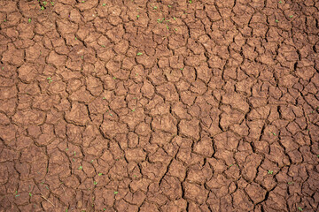 Texture of dry and cracked ground. Concept of lack of rain and environmental impact.