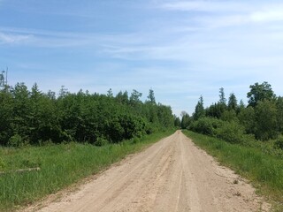 Road in forest in Siauliai county during sunny summer day. Oak and birch tree woodland. Sunny day with white clouds in blue sky. Bushes are growing in woods. Sandy road. Nature. Summer season. Miskas.