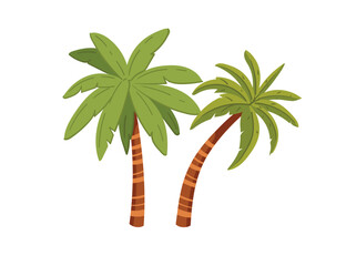 Tropical green palm trees with leaves simple cartoon design vector illustration