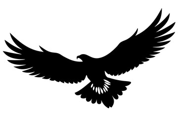 Flying Bald Eagle black and white Silhouette vector, A Bald Eagle black Silhouette Vector isolated on a white background