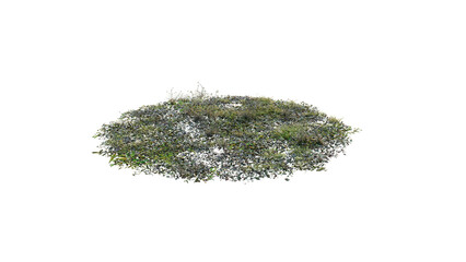 Round surface of Small Plant forest patch covered with flowers, green or dry grass and stone isolated on transparent background. Realistic natural element for design. Bright 3d
