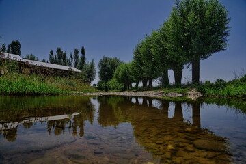 Obraz premium A rural street with a large puddle reflecting the trees, rural landscape.