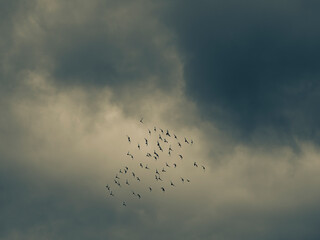 clouds in the sky