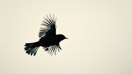 Fototapeta premium Ascension ,minimal, simple background: A bird in mid-flight silhouetted against a clear, pale sky, capturing the essence of rising and freedom.