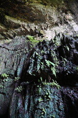 The Fairy Cave and Wind Cave of Bau, Sarawak, Borneo, Malaysia