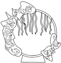 wedding ceremony coloring page illustration