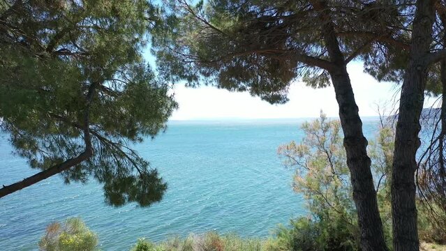 Video from a drone flying smoothly through the branches of pine trees to the open sea on a sunny summer day, the coast of Istres, Provence, France
