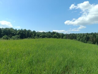 Bubiai hill during sunny day. Small hill. Grass is growing on hill. Staircase leading to the top. Sunny day with white and gray clouds in sky. Nature. Bubiu piliakalnis.