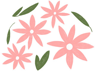 Pink Flowers and Leaves Color Pencil Drawing, Textured, Isolated, Floral