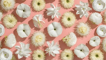 Flowers pattern texture floral pattern made of white flowers on pink background flat lay top view floral background