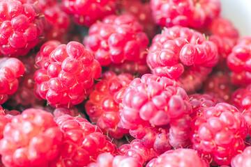 Closeup of vibrant raspberries, a colorful and antioxidantrich fruit, perfect for a healthy snack