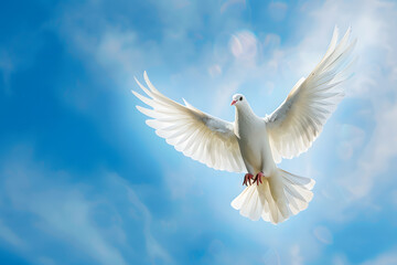 Fototapeta premium White Dove of Peace in the Air with Wings Wide Open Against Blue Sky
