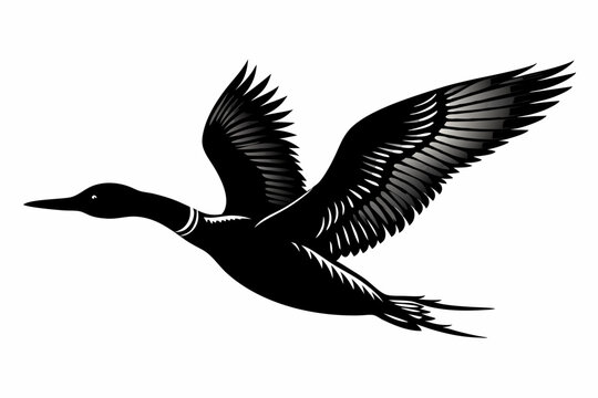 flying loon black silhouette vector illustration