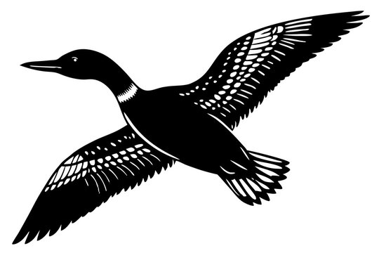 recommend clip art: flying loon black silhouette vector illustration