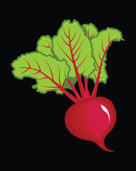 Illustration of a fresh beet