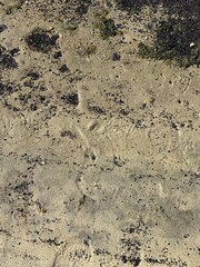 texture of the ground