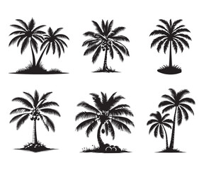 Coconut Tree silhouette vector illustration style with white background 