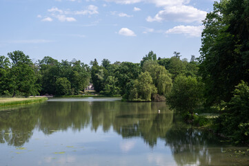 A lake in green nature