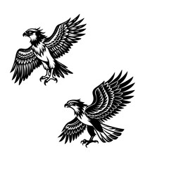 Obraz premium osprey-silhouette