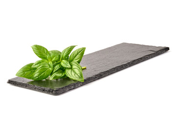 Fresh green Basil leaves, isolated on white background.