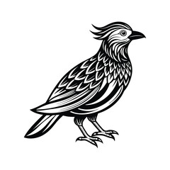 Birds Vector Silhouette With White Background
