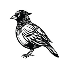 Birds Vector Silhouette With White Background