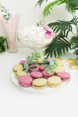 Macaroons on white plate on table Celebration concept Birthday with plants