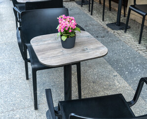 Street Restaurant Table Flower Decoration, Empty Cafe Tables, Bistro Seat, Bar Terrace, Outdoor Restaurants