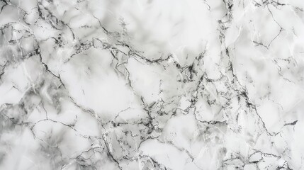 Fototapeta premium White marble texture