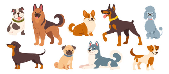 Cute dogs and puppies. Cartoon different breeds pet. Funny doggy characters. Happy friendly canine animals. Pug, corgi, poodle, husky and poodle. Vector set