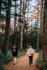 Embrace Adventure in Nature: Young Women Enjoying Summer Vacation with Hiking Backpacks, Journey of Freedom and Leisure in Wild Forests, Outdoor Trekking and Travel for Ultimate Landscape Exploration