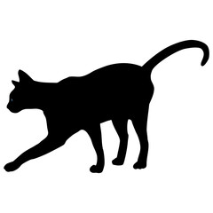 Realistic style black cat with bright eyes