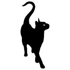 Realistic style black cat with bright eyes