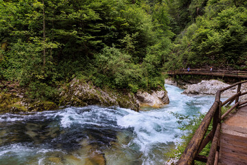 Walking path in the forest along a mountain river. Vintgar Gorge, Slovenia