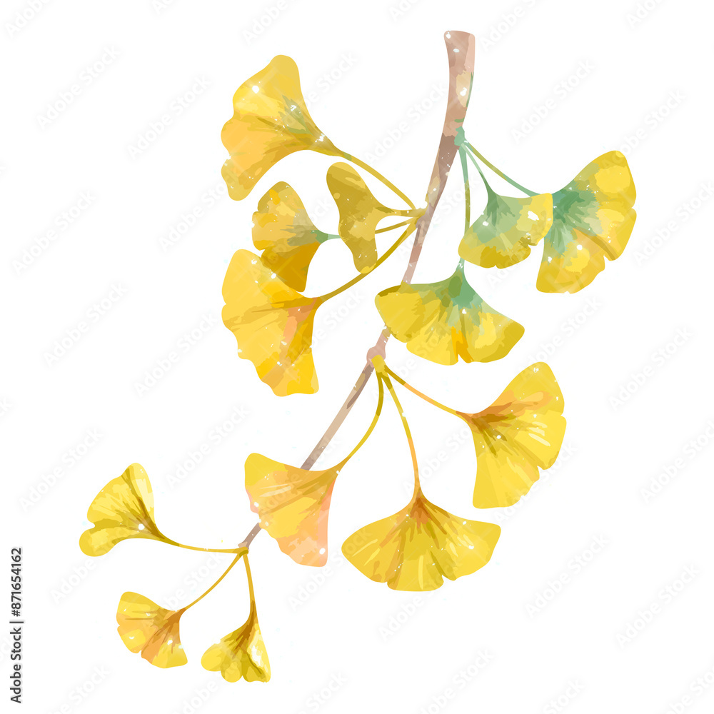 Wall mural Hand drawn sparkling ginkgo flowers design element