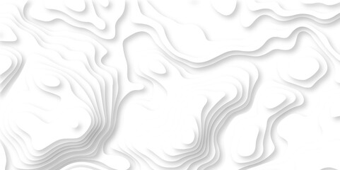 Abstract white paper cut background with lines. Background of the topographic map. White wave paper curved reliefs abstract background. Realistic papercut decoration textured with wavy layers.