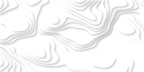 Abstract white paper cut background with lines. Background of the topographic map. White wave paper curved reliefs abstract background. Realistic papercut decoration textured with wavy layers.