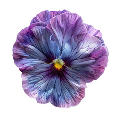 Naklejka premium Beautiful pansy flower flat lay, top view