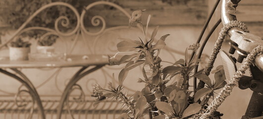 Sepia Tone Vintage Garden Bicycle Planter Close-Up