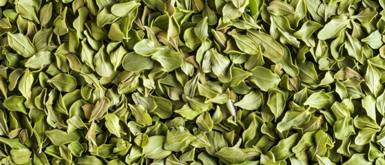 Panoramic close-up, high detail scan of oregano flakes material, Generative AI