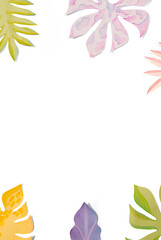 Png summer leaf border in flat lay style