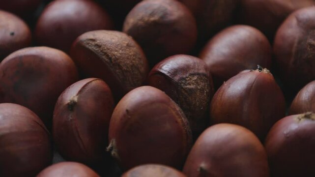 Brown chestnut nut background 