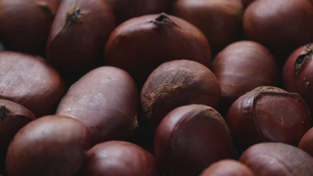 Brown roasted chestnut nut 