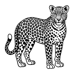 Leopard vector illustration, Leopard silhouette, Leopard vector art