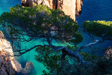 Landscape of cliffs on the coast of Girona known as Costa Brava in Catalonia in Spain