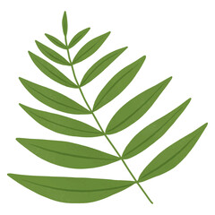 Branch with green leaves design element transparent png