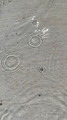 Defocused liquid clear water surface texture with splashes bubbles with copy space. Water waves in sunlight background.	
Trendy summer nature banner. 